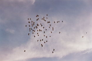 一个人忙忙碌碌走走停停歌词，抖音上很火的一首歌走走停停
