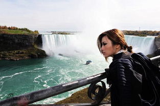 《候鸟》尚雯婕，候鸟尚雯婕这首歌的寓意