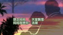 《梦中的妈妈》唱哭评委，歌曲《妈妈我想你》原唱