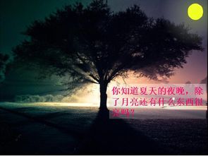 《萤火虫》课文原文，小学一年级萤火虫怎样点灯笼