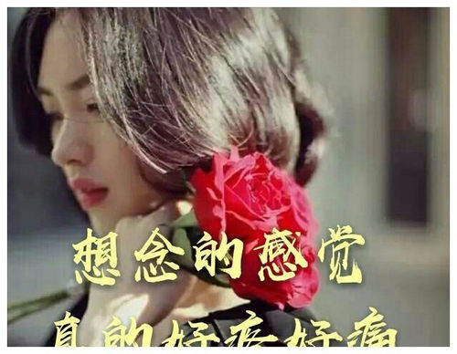 《相思的泪水》原唱,相思的泪原唱完整版