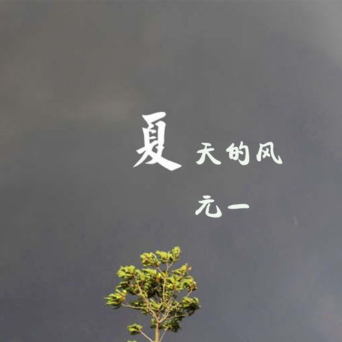 《遇见》歌曲歌词,歌曲《夏天的风》