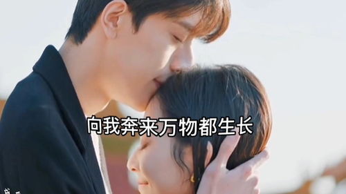 《落在生命里的光》歌词，《落在生命里的光》歌曲