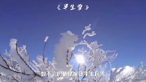 《半生雪》中华五千年歌曲,《半生雪》中华五千年手势舞