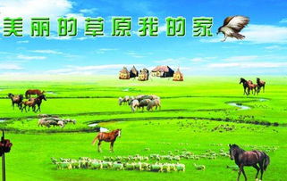 《美丽的草原我的家》歌词，美丽的草原我的歌