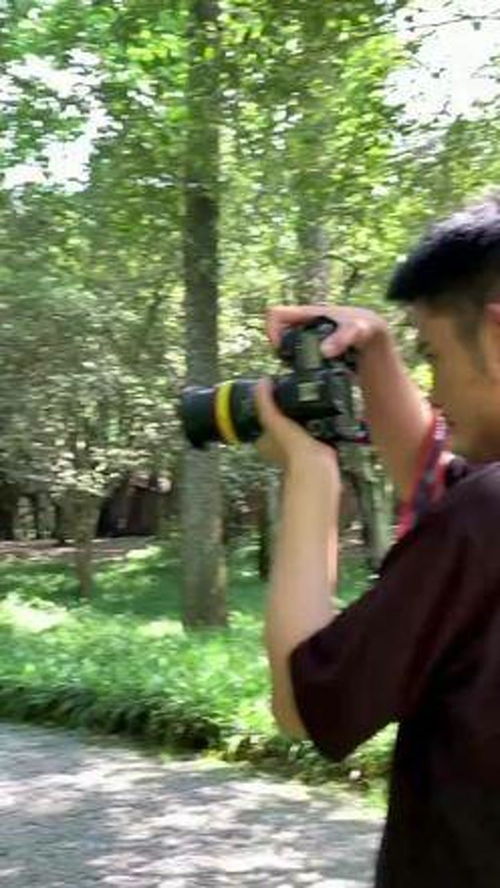 《还没爱够》完整版,还没爱够男声完整版