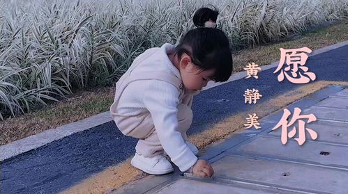 《愿你》歌曲原唱，歌曲《愿你》黄静美