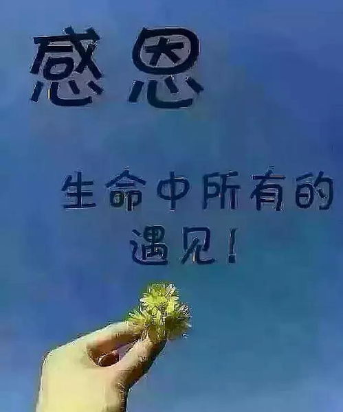 《最好的遇见》，歌曲《感谢有你》原唱