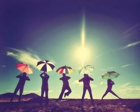 一生情一辈子一杯酒是什么歌，一声兄弟一生情一生兄弟一杯酒