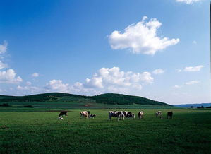 一句话形容草原美景,描写草原上的美景短句