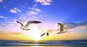 一个男人反复听海阔天空的歌，海阔天空这首歌表达了什么感情