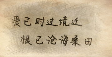 一别半生不过兜兜又转转，半生已过唯美句子