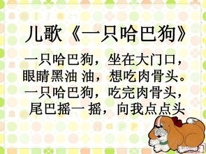一只哈巴狗儿歌，小鸭子嘎嘎嘎完整版歌词