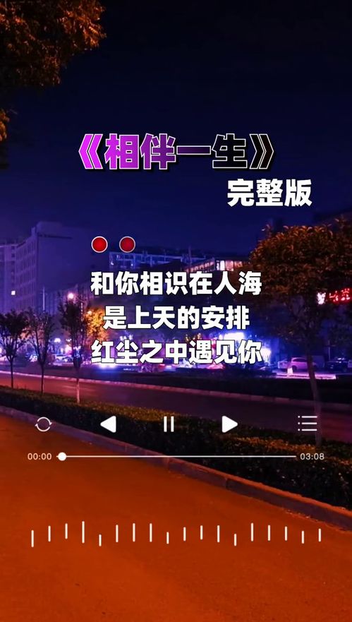 一生一世守护你，《相伴一生》完整版