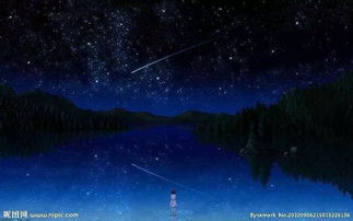 一个女的唱的歌词里面有繁星，歌词里有满天的繁星是什么歌