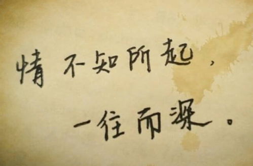 一往情深完整版歌词，一往情深歌词经典老歌