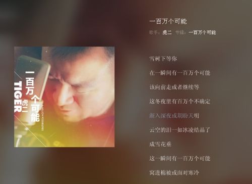 一瞬间有一百万个可能歌词,《最美的相遇》歌词