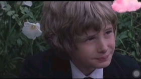 一个男生发星语心愿什么意思，一个中年男人唱星愿心语