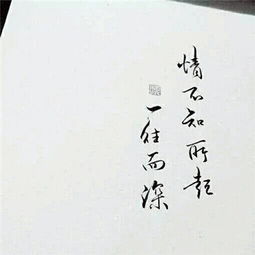 一往情深下一句是什么，一往情深是真爱吗