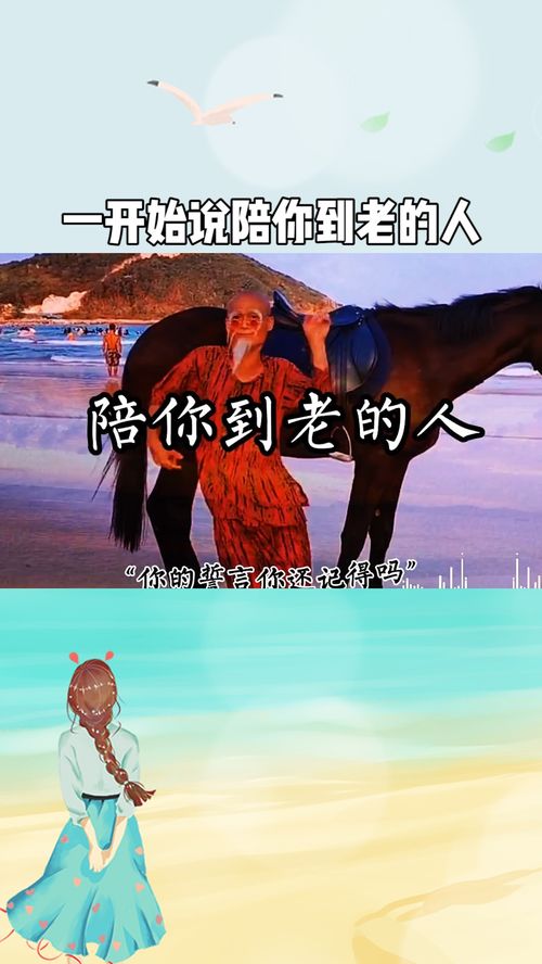 一开始说陪你到老的人原唱DJ,歌曲《陪你到老的人》