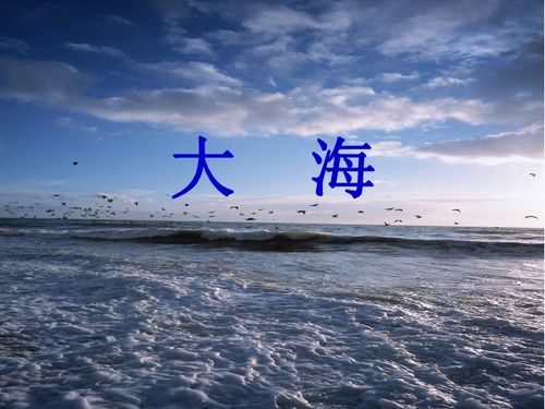 一个男生分享大海给你，大海歌曲表达什么爱情