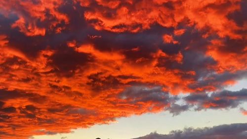 一起牵手去看那晚霞是什么歌,和你去看那晚霞是什么歌曲