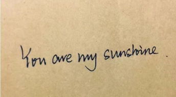 一首英文歌you are my，歌词高潮部分youaresobeautiful