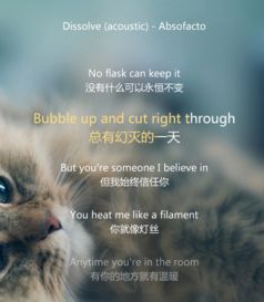 一首英文歌高潮是babyyouare，歌词里有you don’t know me