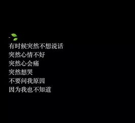 万物不如你歌词完整版，万物皆是你歌词