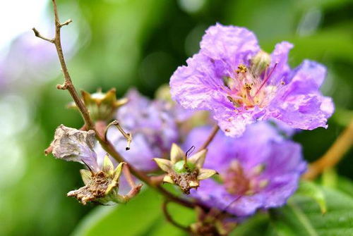 一首歌高潮部分什么花花世界，有一首很嗨的歌曲叫花花世界