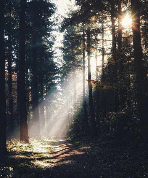 上年纪的男人的说说，一种年龄,一种心境,一种领悟