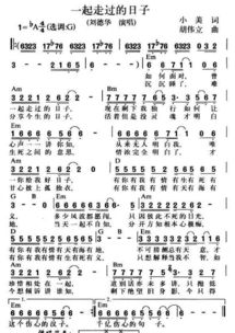 一起走过的日子中文歌词，艰难的日子一起走过歌词