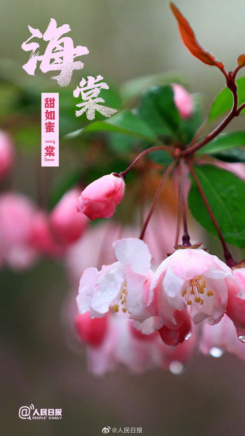 一路生花寓意是什么，一路生花是深层含义