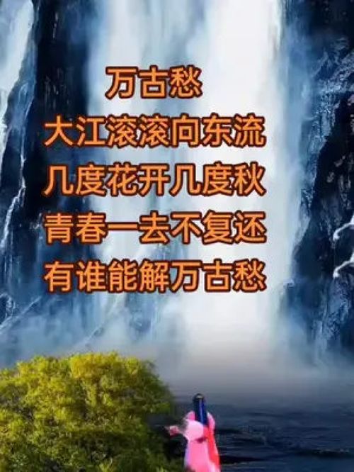 一醉能消万古愁，一盏能消万古愁