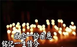 一路走好的哀悼歌曲，农村办丧事歌曲100首