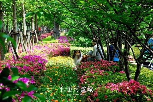 上海明星住的小区，50个明星上海豪宅