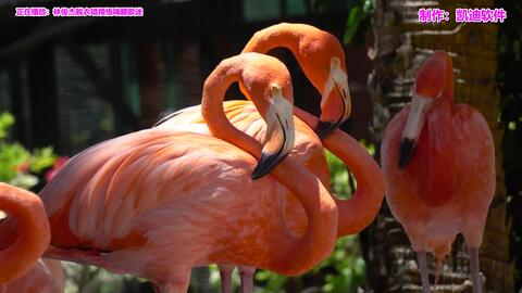 三个字的伤感情歌歌名，三个字经典老歌500首怀旧