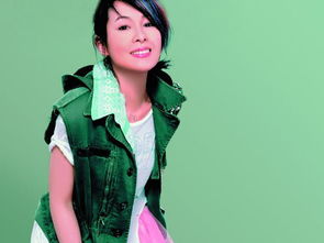 一辈子孤单的歌词,刘若英我会一直孤单