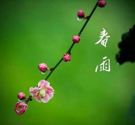 三月里的小雨淅沥沥沥是什么歌，三月里的小雨全部歌词