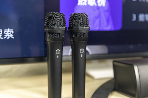 个人唱歌的设备，自己在家k歌要买什么设备