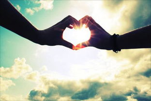 不愿离开不愿存在是什么歌曲,不愿离开你不愿你哭泣