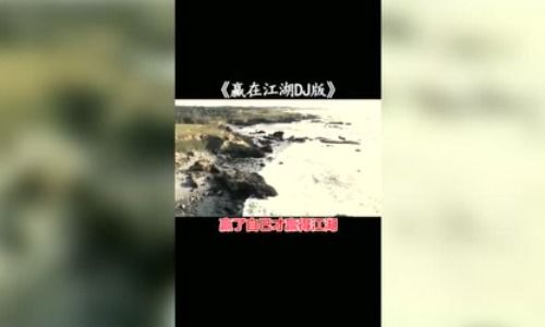 不为谁而作的歌表达什么感情，不为谁而歌词完整版