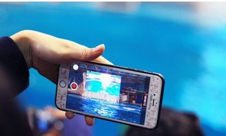 两个手机直播怎么放歌，一边直播一边放歌是怎么做的