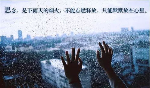 下雨的伤感歌曲老歌，世界名曲《下雨的时候》