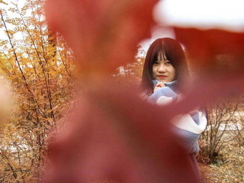 不再携秋水揽星河是什么意思哦,你携秋水揽星河是谁写的