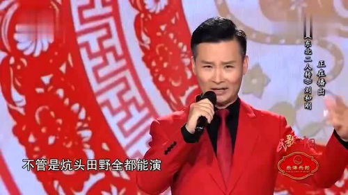 东北腔调的流行歌曲，最火的东北二人转歌曲