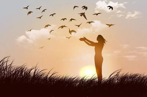 且歌且行深层含义，且歌且行且从容