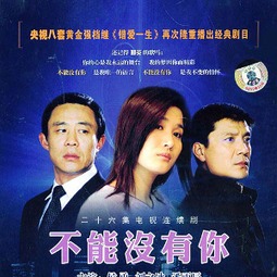 不能没有你江婉如结局,不能没有你婉茹复婚了吗