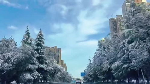 不管是在今天在明天，在明天在后天在明年什么歌