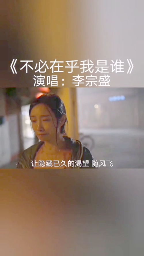 不必在乎我是谁在暗示什么,不必在乎我是谁感悟